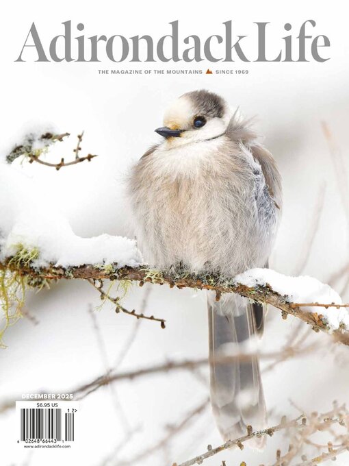 Title details for Adirondack Life by Adirondack Life, Inc - Available